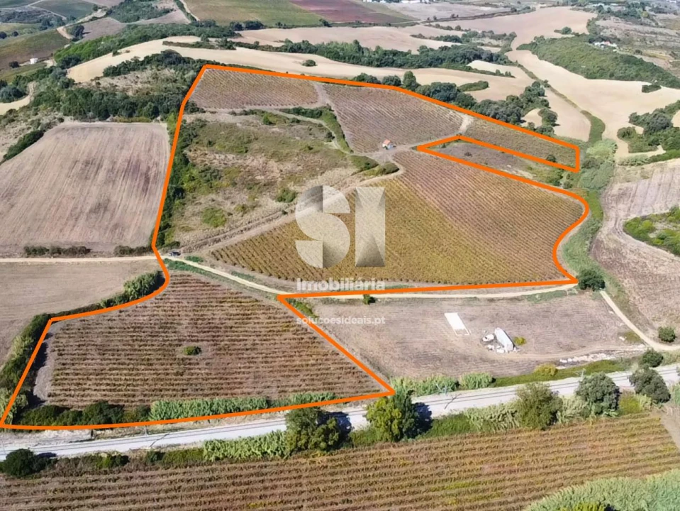 Terreno para Venda em Dois Portos e Runa Foto 1