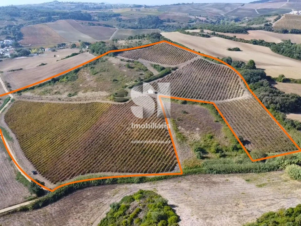 Terreno para Venda em Dois Portos e Runa Foto 4