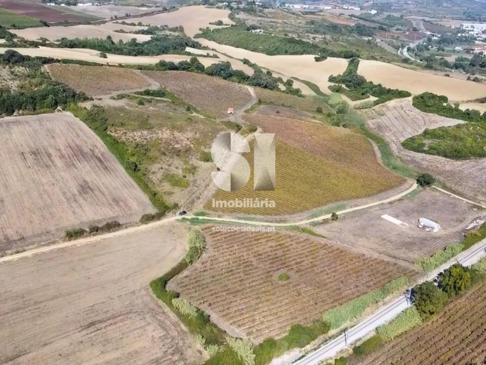 Terreno para Venda em Dois Portos e Runa Foto 6