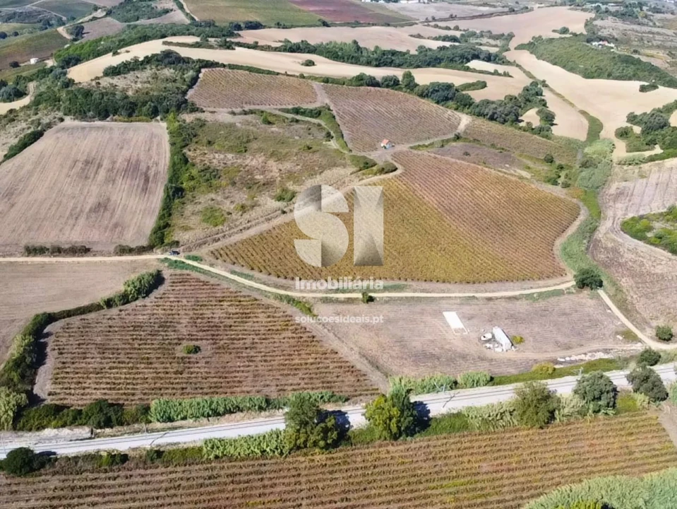 Terreno para Venda em Dois Portos e Runa Foto 7