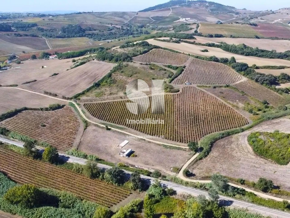 Terreno para Venda em Dois Portos e Runa Foto 8