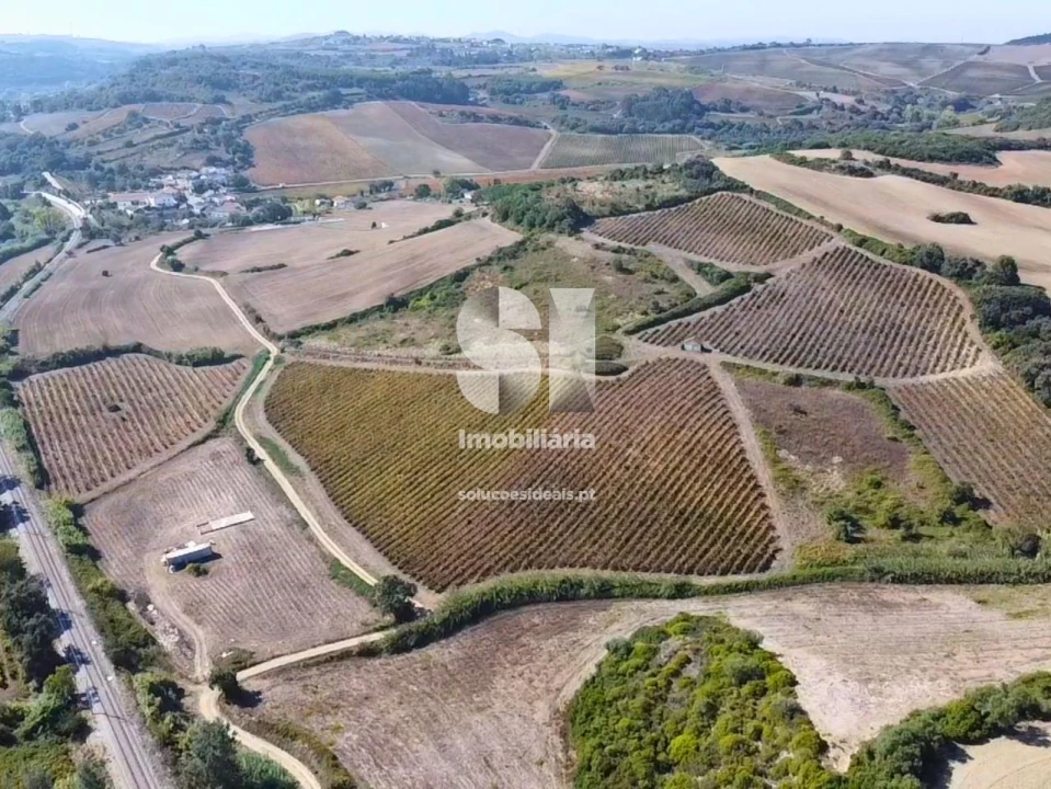 Terreno para Venda em Dois Portos e Runa Foto 9