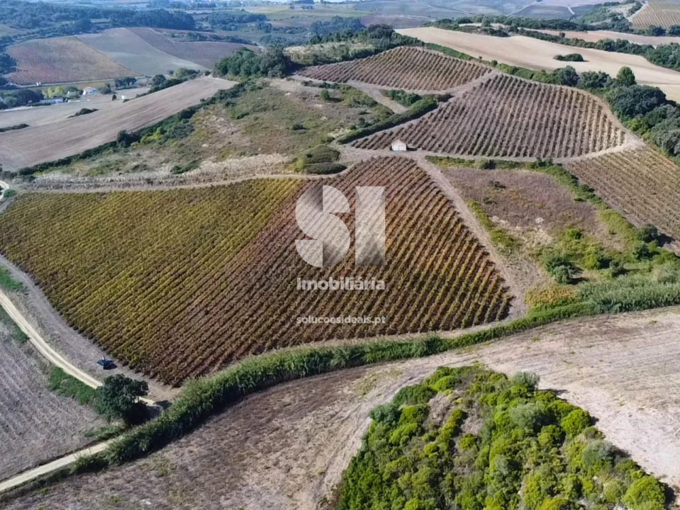Terreno para Venda em Dois Portos e Runa Foto 12