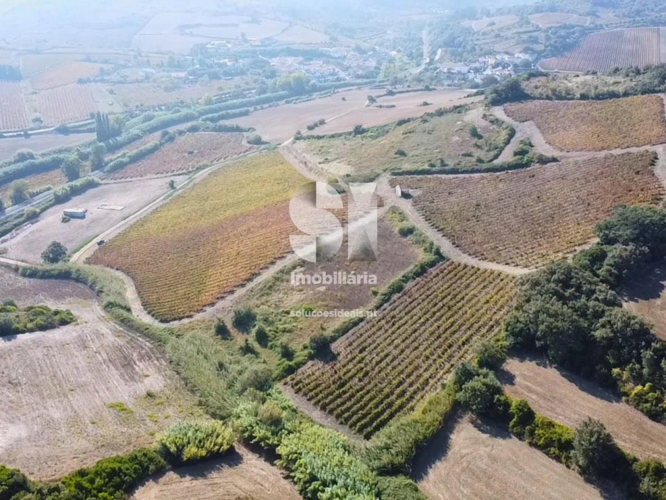Terreno para Venda em Dois Portos e Runa Foto 15
