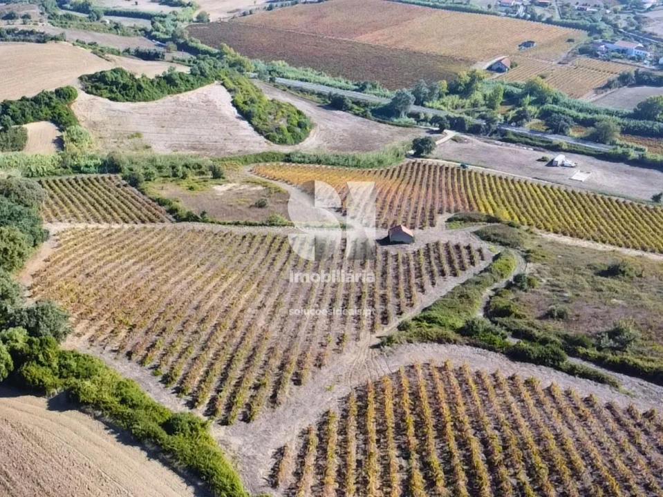 Terreno para Venda em Dois Portos e Runa Foto 16