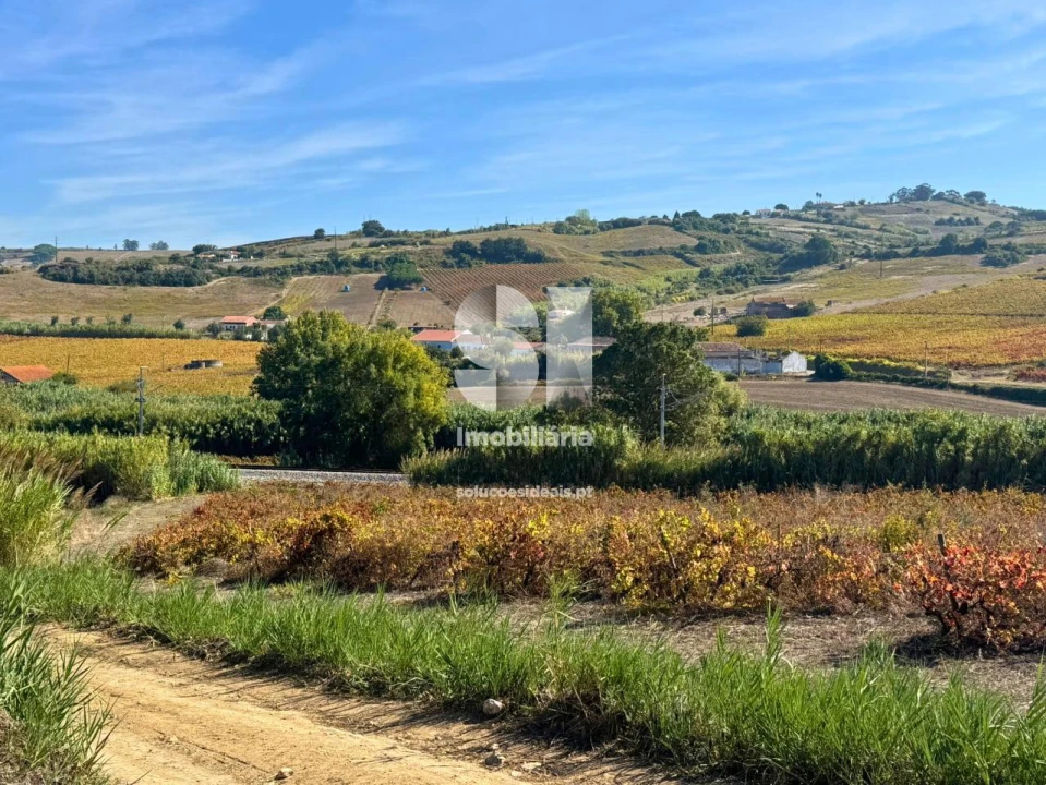 Terreno para Venda em Dois Portos e Runa Foto 18