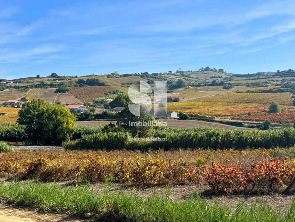Terreno para Venda em Dois Portos e Runa Foto 19