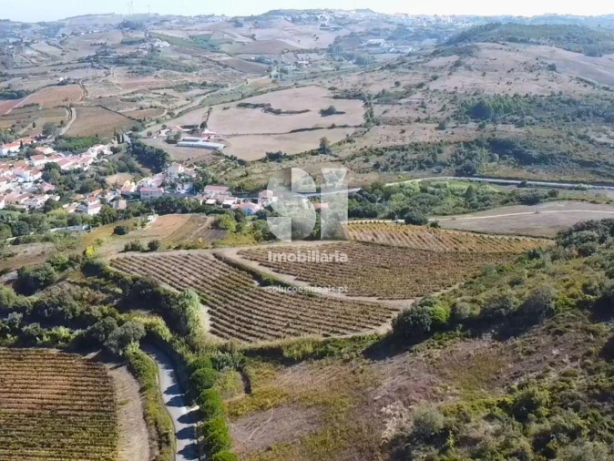 Terreno para Venda em Dois Portos e Runa Foto 2