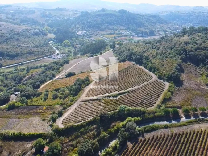 Terreno para Venda em Dois Portos e Runa Foto 4