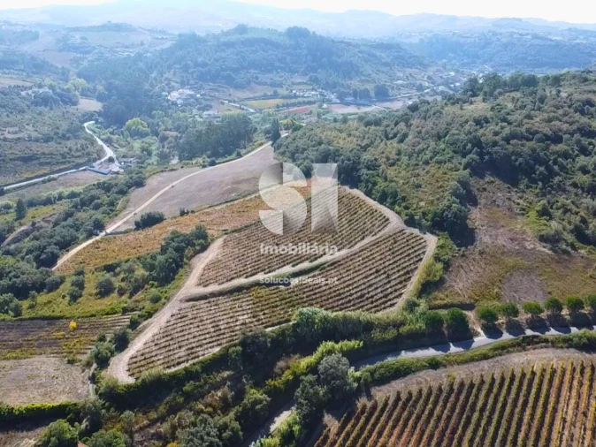 Terreno para Venda em Dois Portos e Runa Foto 9