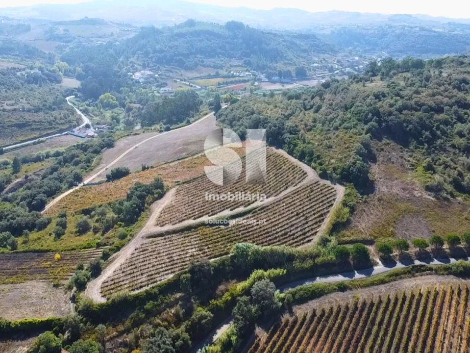 Terreno para Venda em Dois Portos e Runa Foto 5
