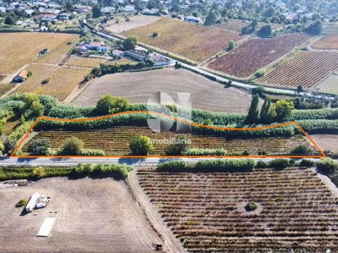 Terreno para Venda em Dois Portos e Runa Foto 2