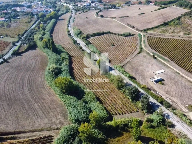 Terreno para Venda em Dois Portos e Runa Foto 6