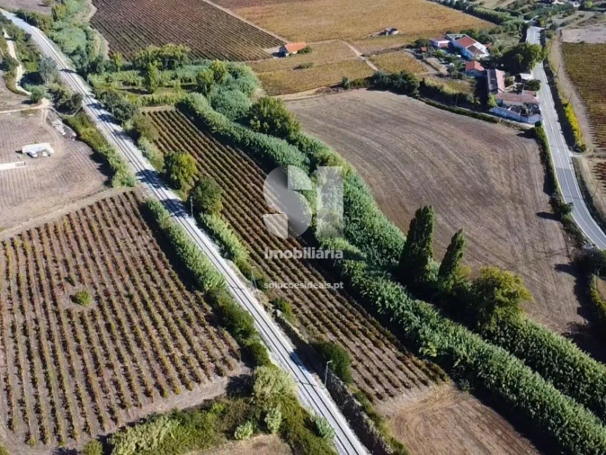 Terreno para Venda em Dois Portos e Runa Foto 9