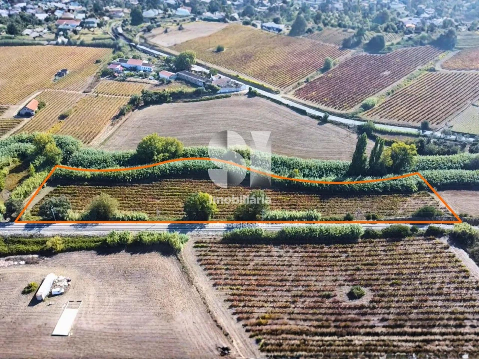 Terreno para Venda em Dois Portos e Runa Foto 2