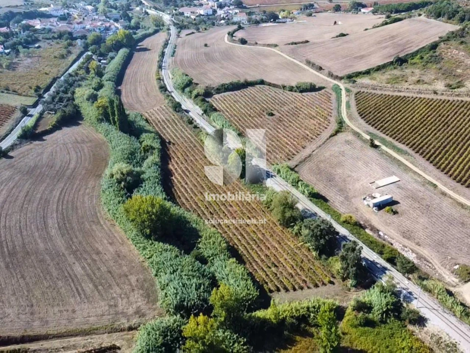 Terreno para Venda em Dois Portos e Runa Foto 3