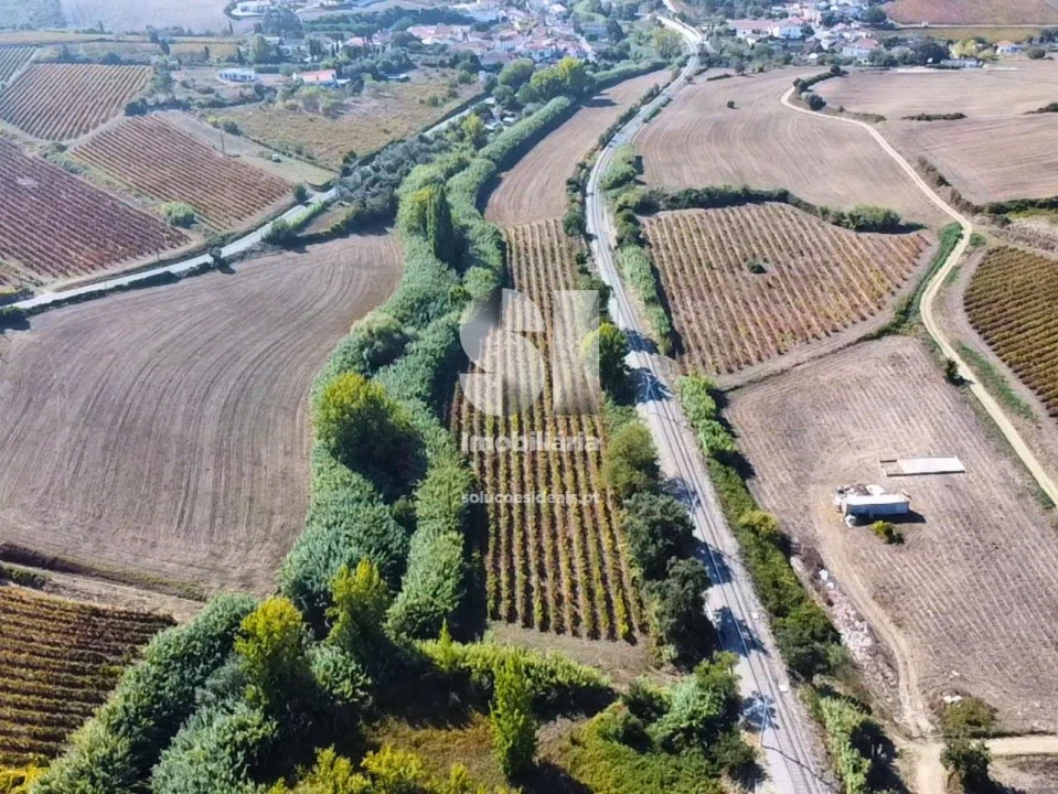 Terreno para Venda em Dois Portos e Runa Foto 4