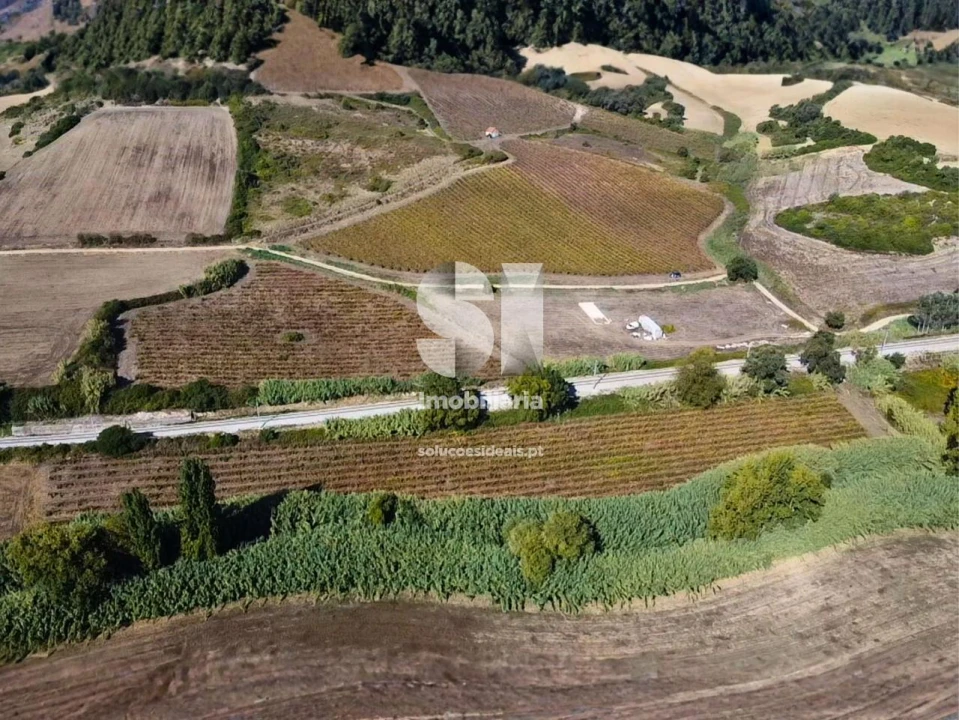 Terreno para Venda em Dois Portos e Runa Foto 7