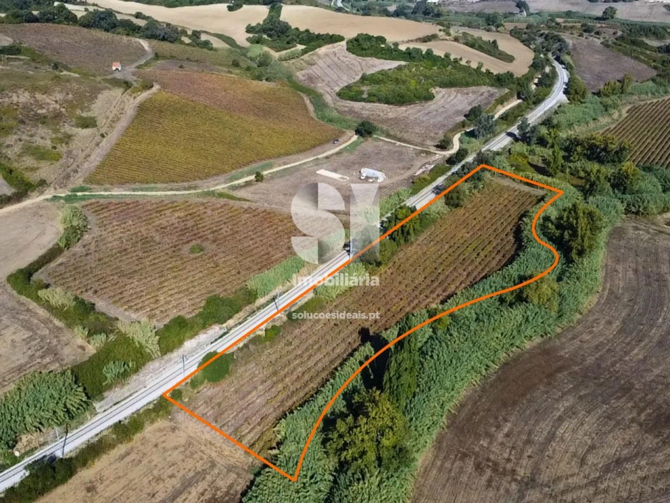 Terreno para Venda em Dois Portos e Runa Foto 8