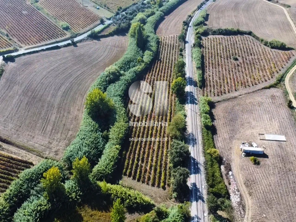 Terreno para Venda em Dois Portos e Runa Foto 10