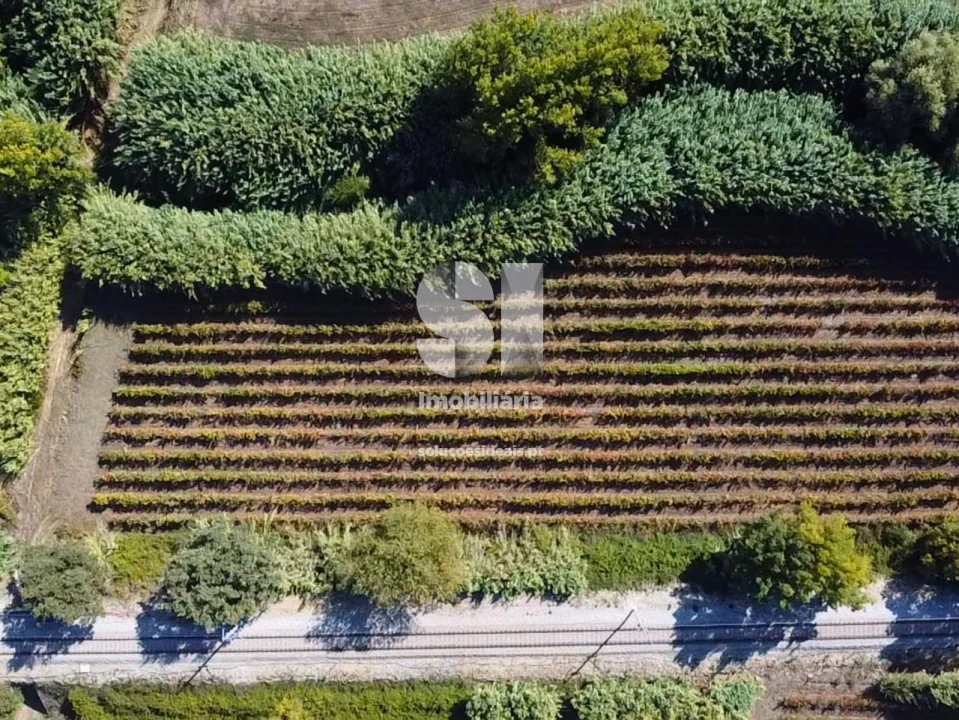 Terreno para Venda em Dois Portos e Runa Foto 1