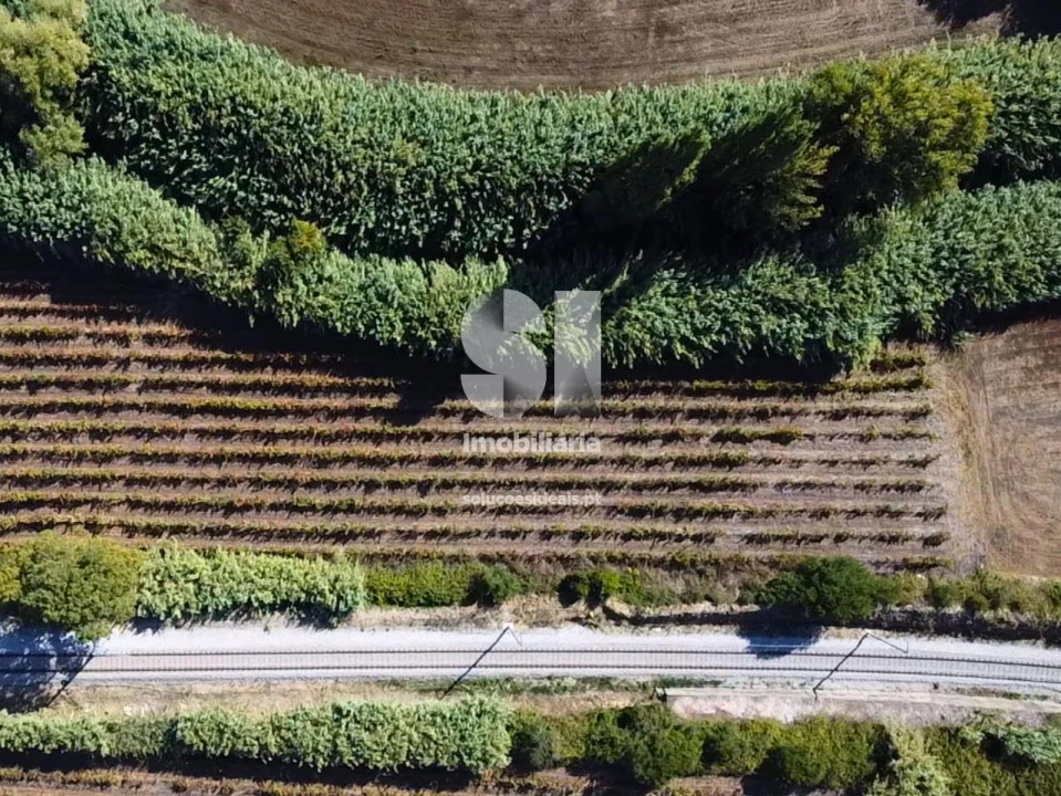 Terreno para Venda em Dois Portos e Runa Foto 11