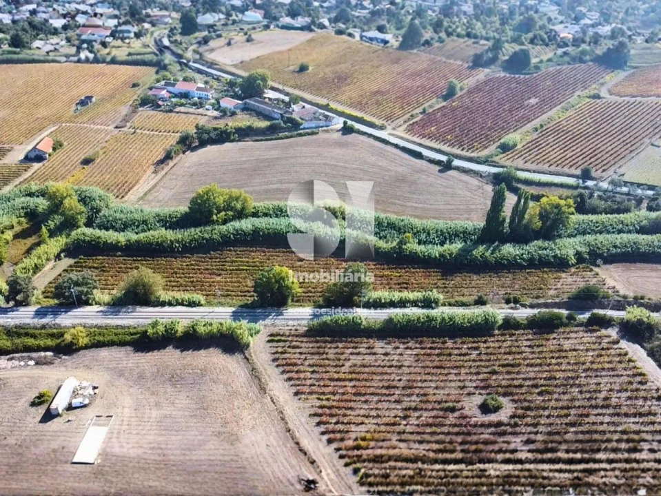 Terreno para Venda em Dois Portos e Runa Foto 12