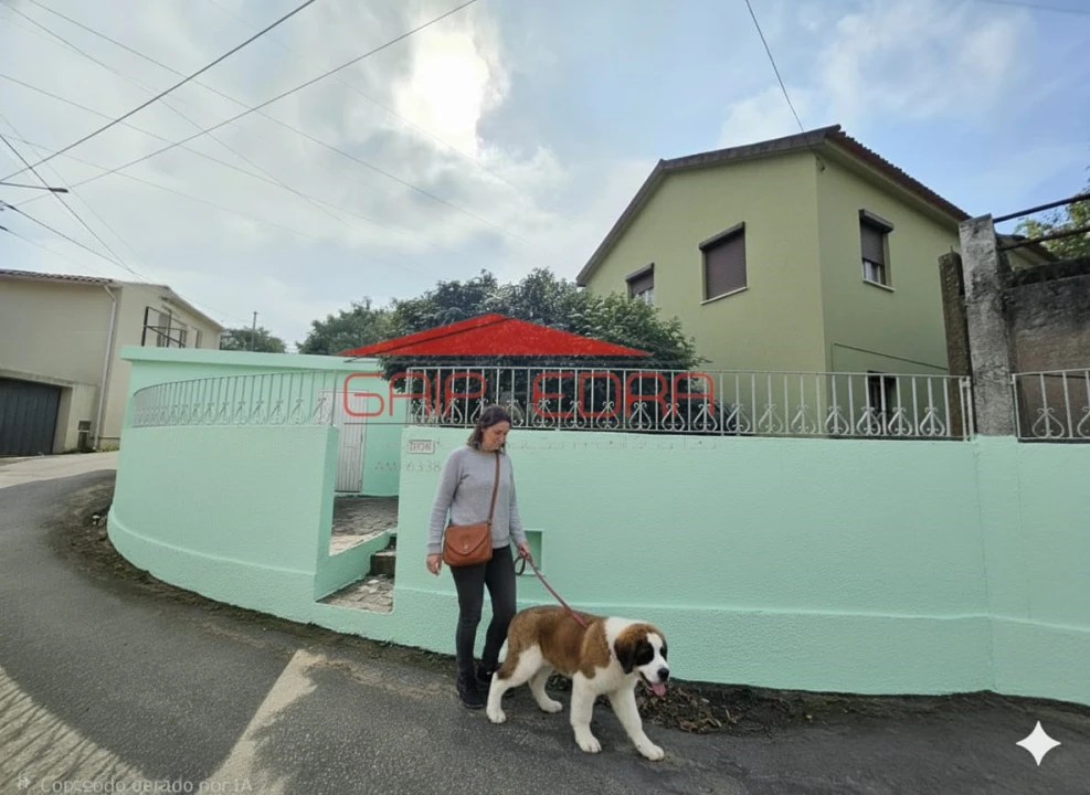 Moradia T3 para Venda em Pinheiro da Bemposta, Travanca e Palmaz Foto 1