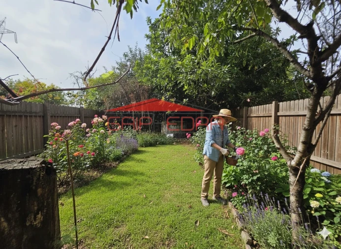 Moradia T3 para Venda em Pinheiro da Bemposta, Travanca e Palmaz Foto 7