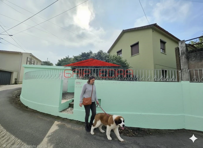 Moradia T3 para Venda em Pinheiro da Bemposta, Travanca e Palmaz Foto 1