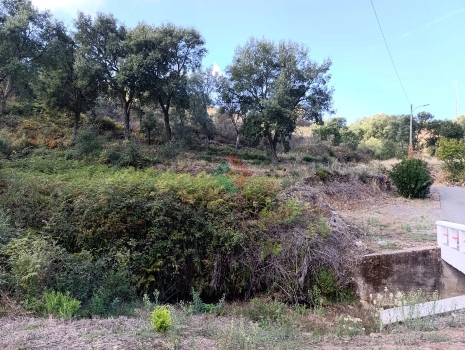 Terreno Agricola ou Rústico para Venda em Santa Maria de Marvão Foto 3
