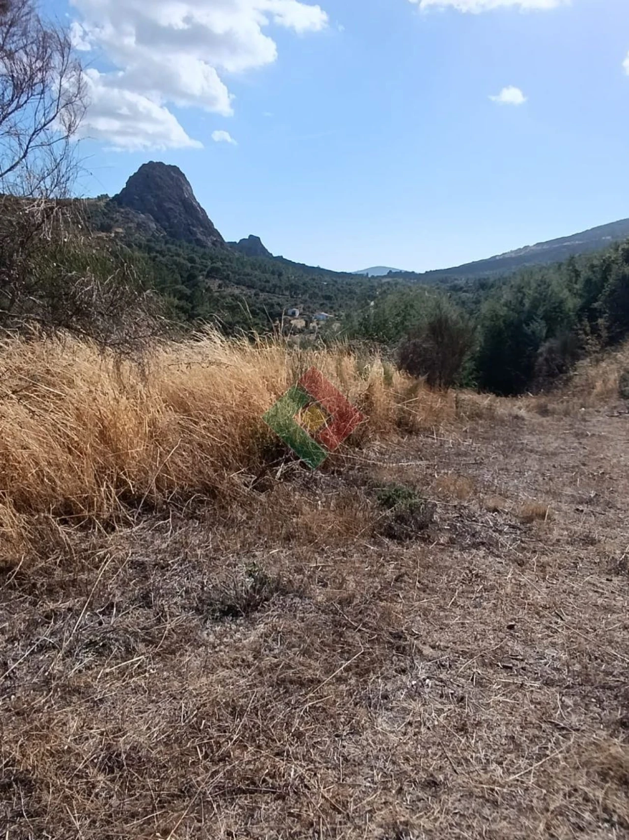 Terreno Agricola ou Rústico para Venda em Santa Maria de Marvão Foto 4
