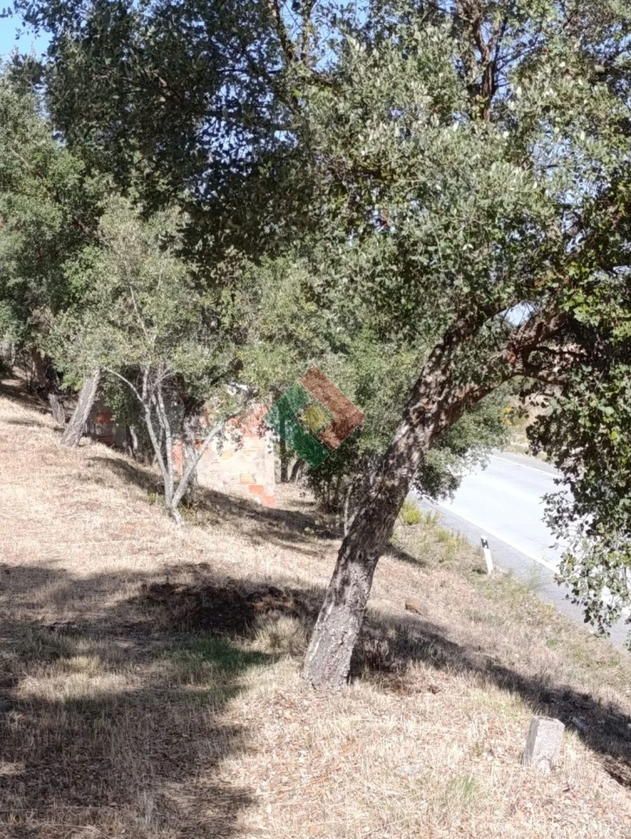 Terreno Agricola ou Rústico para Venda em Santa Maria de Marvão Foto 8