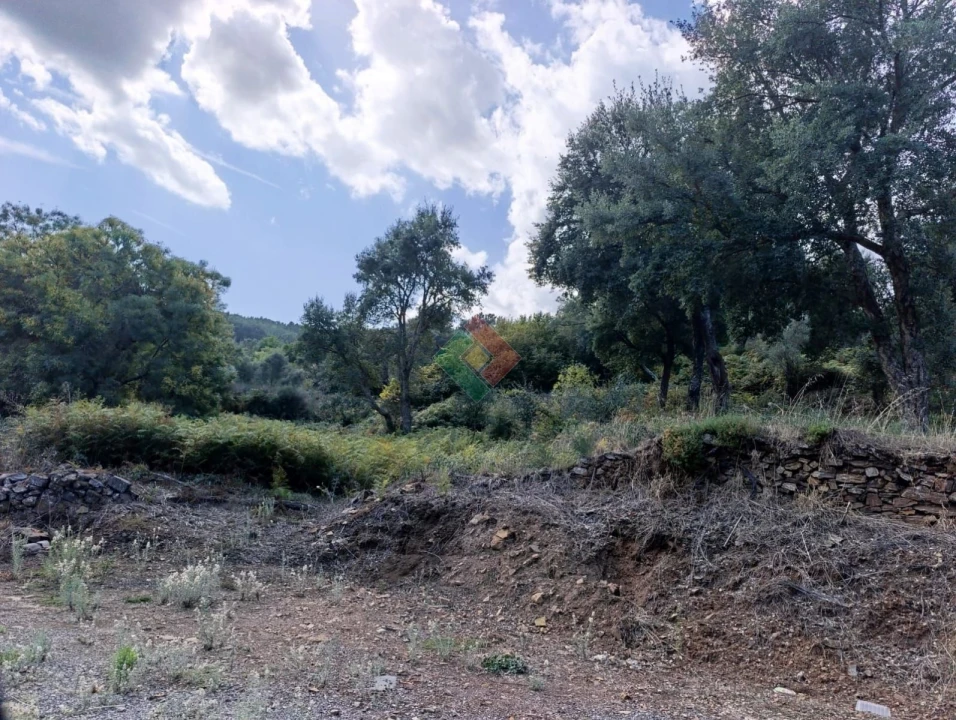 Terreno Agricola ou Rústico para Venda em Santa Maria de Marvão Foto 9
