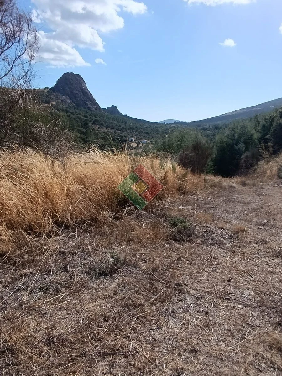 Terreno Agricola ou Rústico para Venda em Santa Maria de Marvão Foto 4