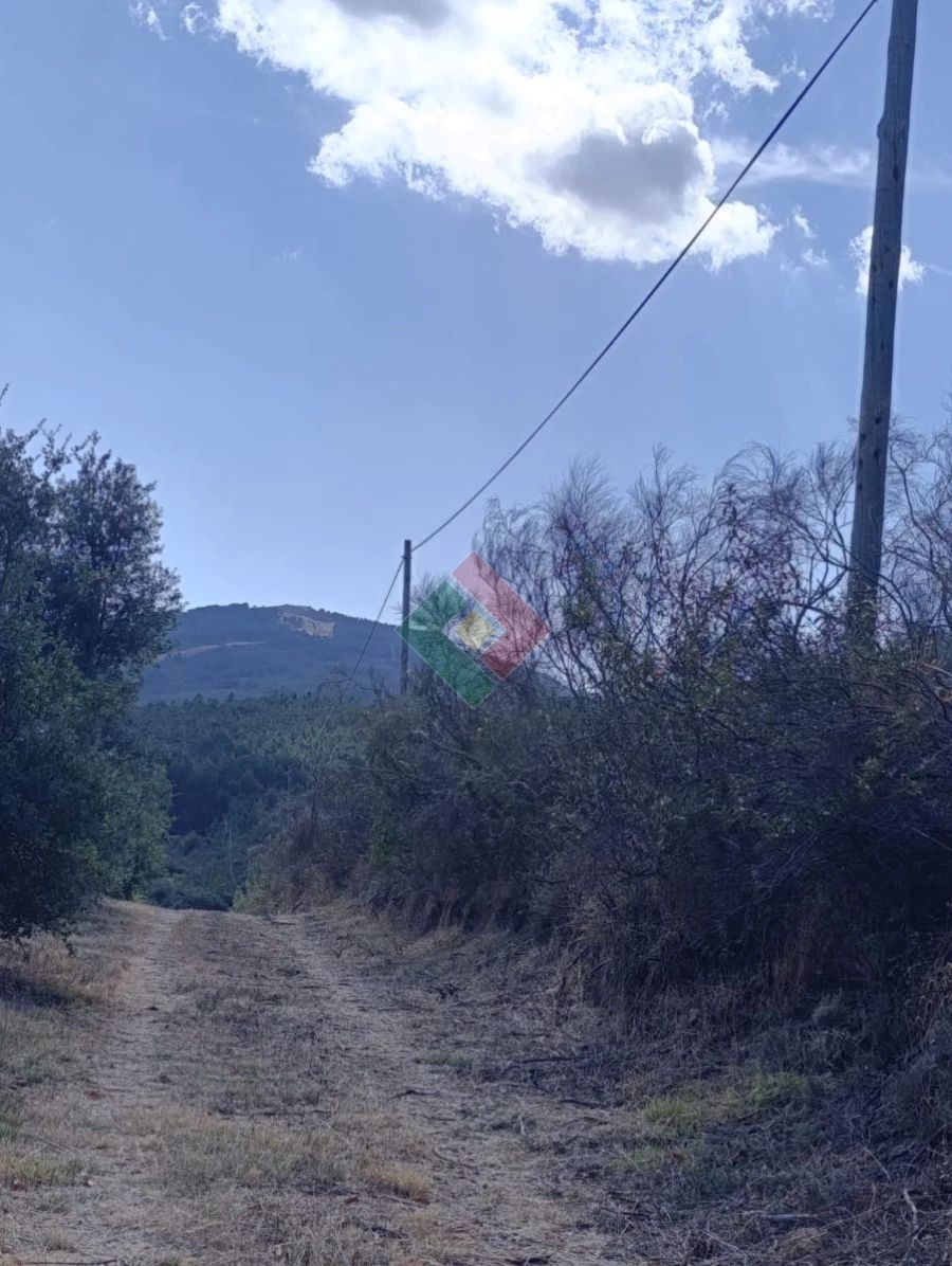 Terreno Agricola ou Rústico para Venda em Santa Maria de Marvão Foto 10