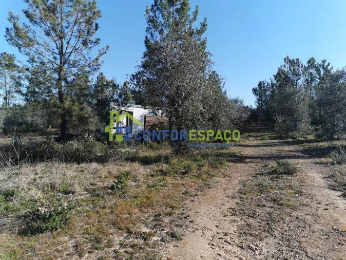 Quinta T0 para Venda em Castelo Branco Foto 2