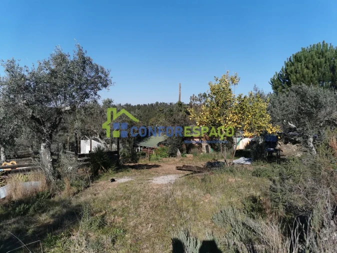 Quinta T0 para Venda em Castelo Branco Foto 3