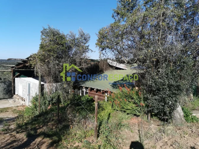 Quinta T0 para Venda em Castelo Branco Foto 4