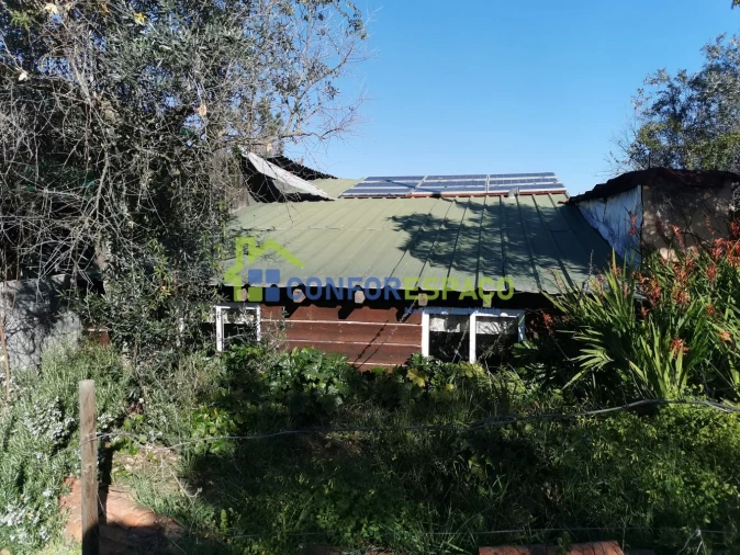 Quinta T0 para Venda em Castelo Branco Foto 5