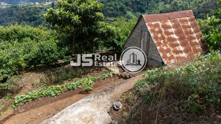 Terreno para Venda em Santana Foto 1