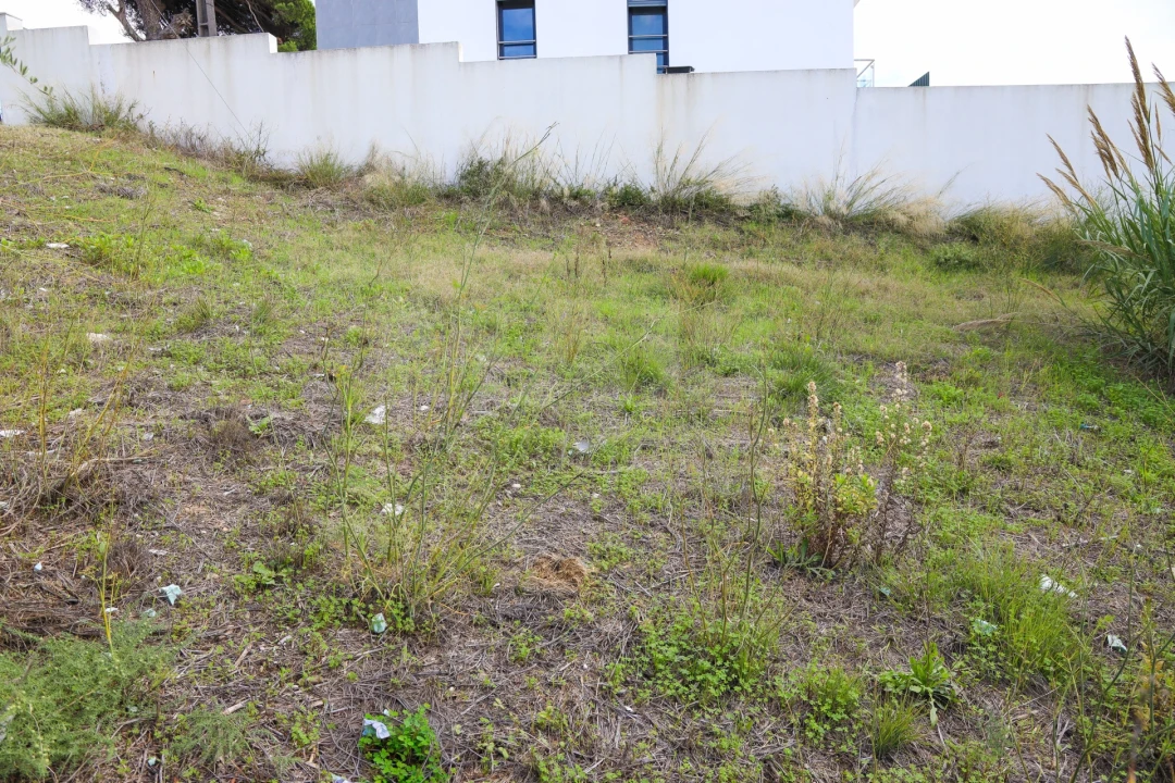 Terreno para Venda em Camarate, Unhos e Apelação Foto 2