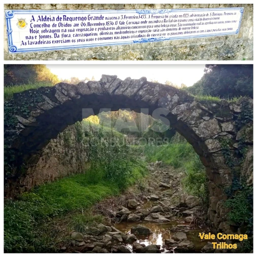 Terreno para Venda em Reguengo Grande Foto 8