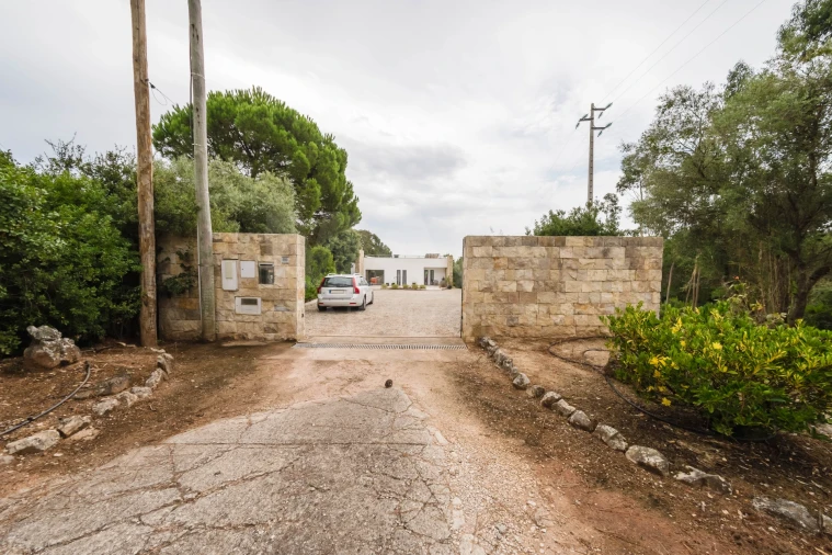 Moradia T3 para Venda em Nadadouro Foto 10