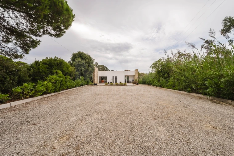 Moradia T3 para Venda em Nadadouro Foto 11