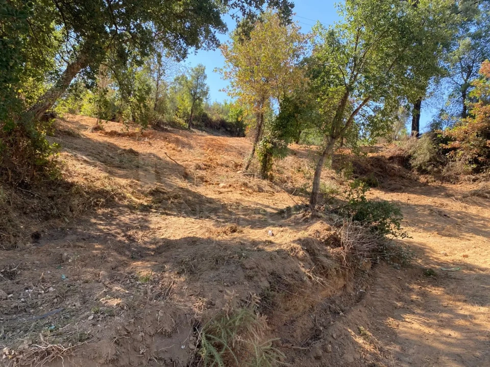 Terreno para Venda em Côja e Barril de Alva Foto 5