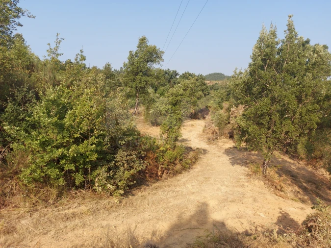 Terreno para Venda em Côja e Barril de Alva Foto 6