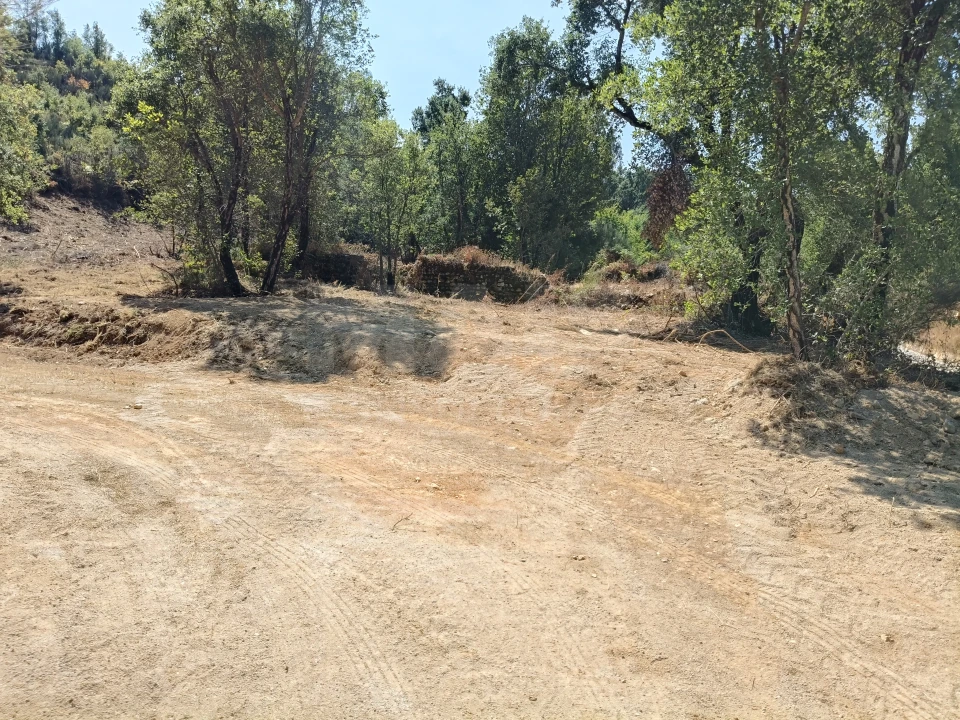 Terreno para Venda em Côja e Barril de Alva Foto 1