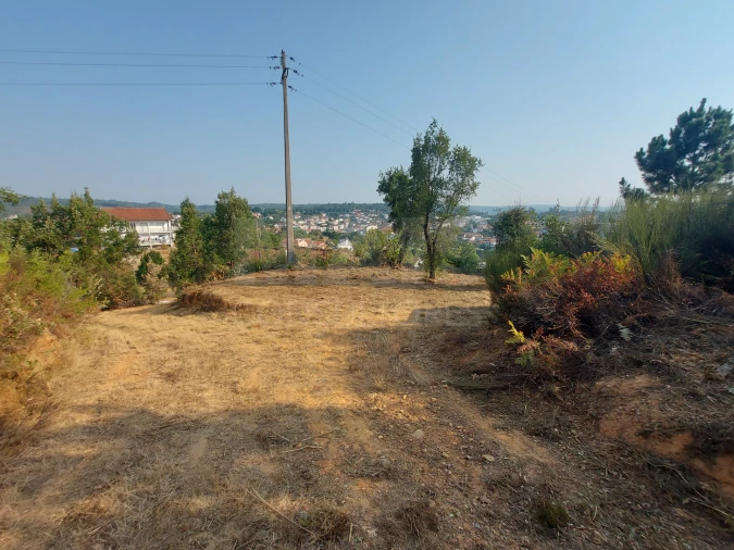 Terreno para Venda em Côja e Barril de Alva Foto 5