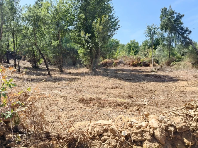 Terreno para Venda em Côja e Barril de Alva